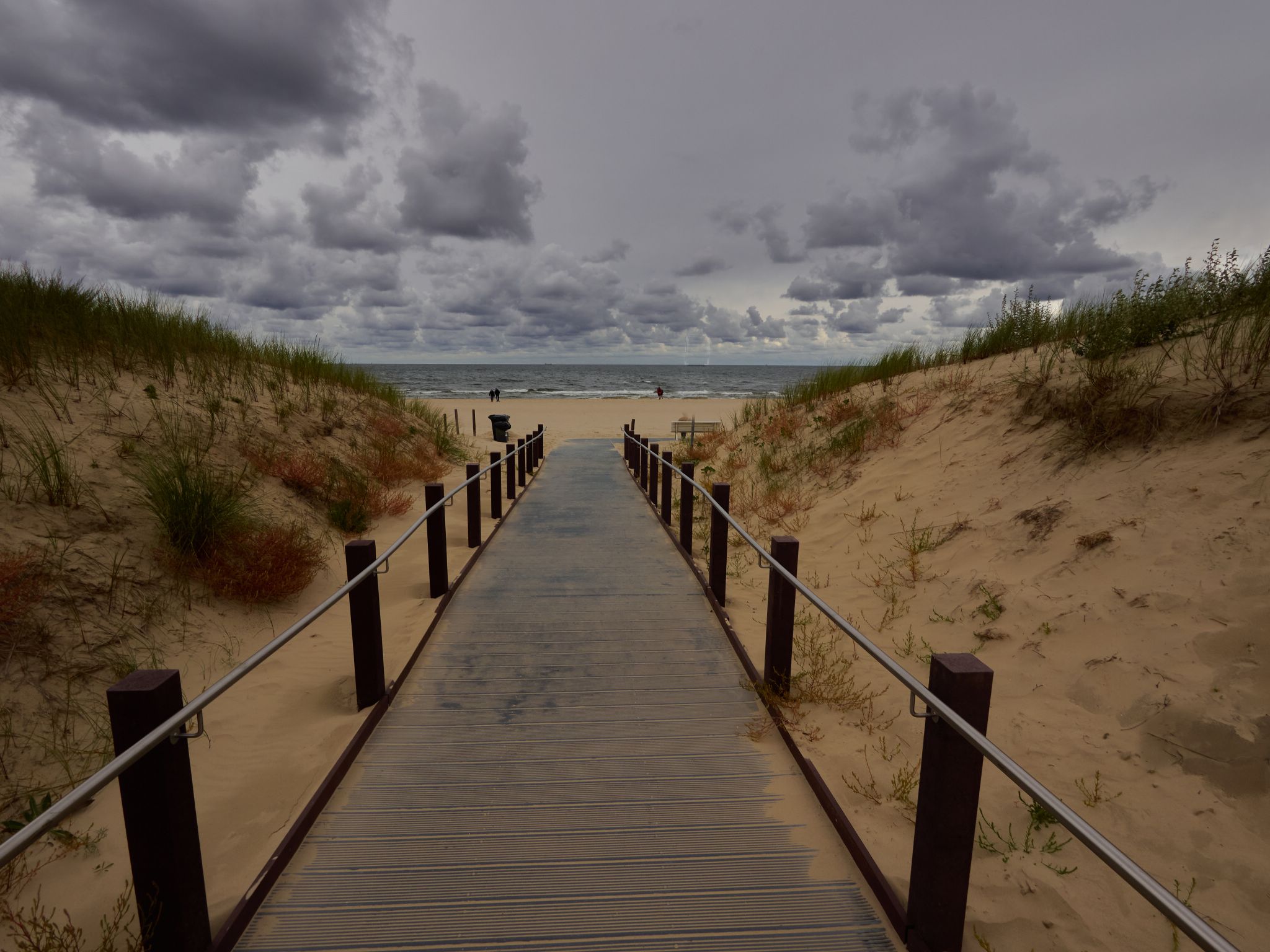 Landschaft 2024  1761 Usedom